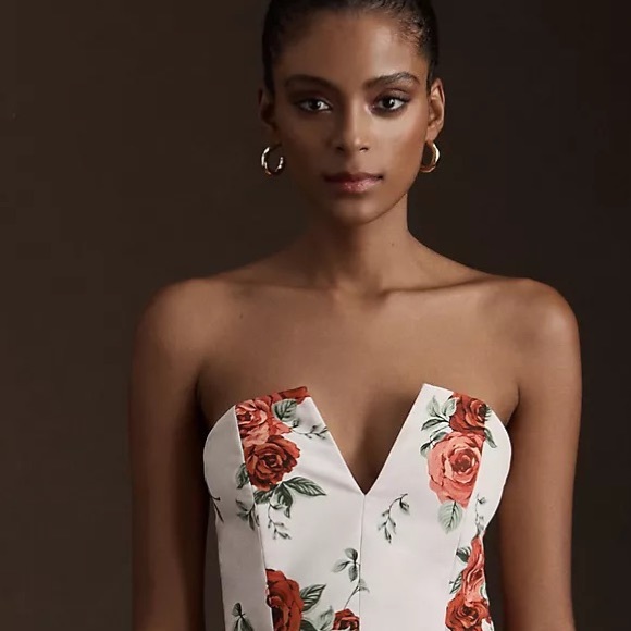 Anthropologie Sachin & Babi Nora Rose Strapless Notch-Neck Taffeta  Dress - Picture 4 of 14